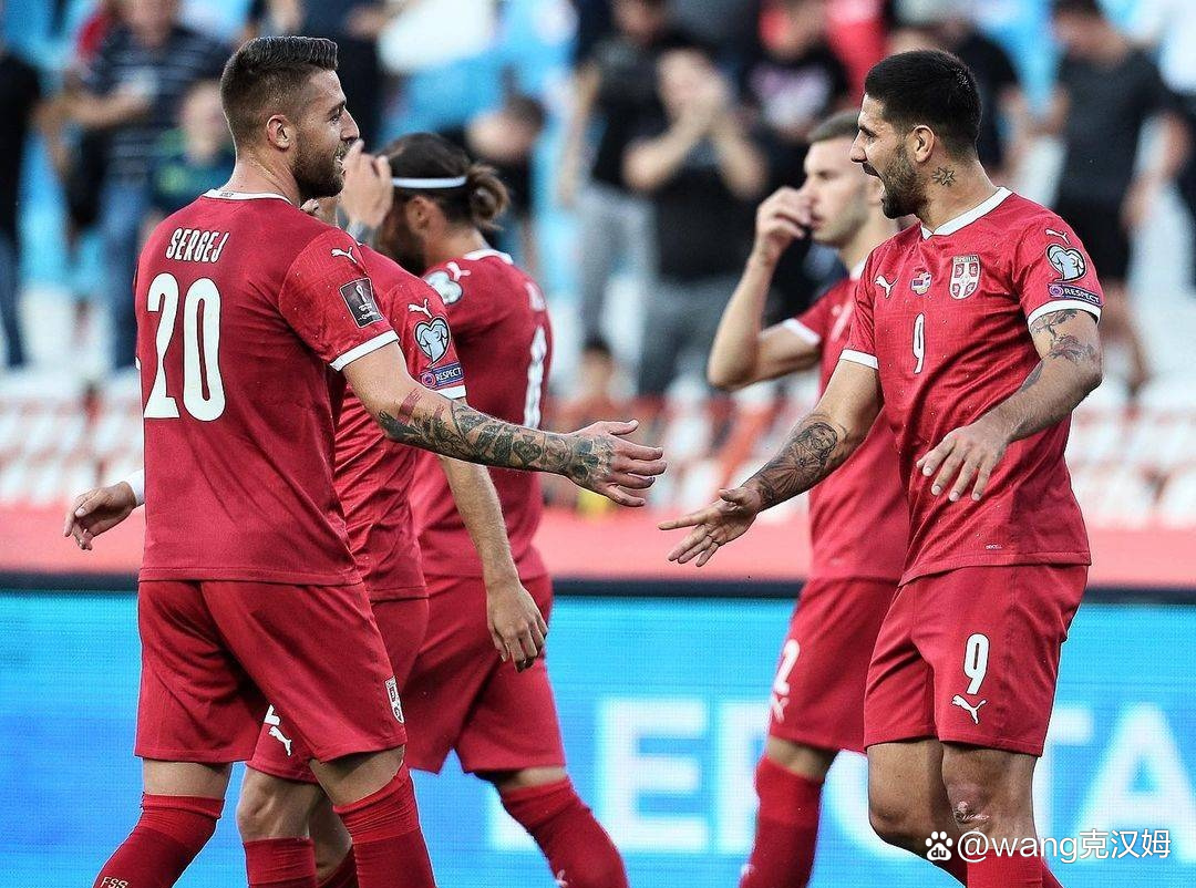 塞尔维亚晋级世界杯